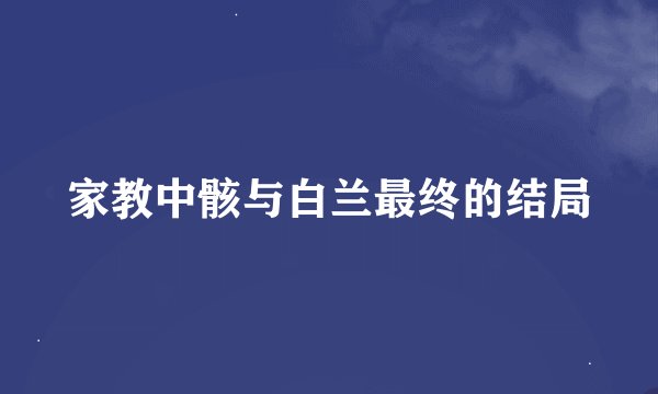 家教中骸与白兰最终的结局