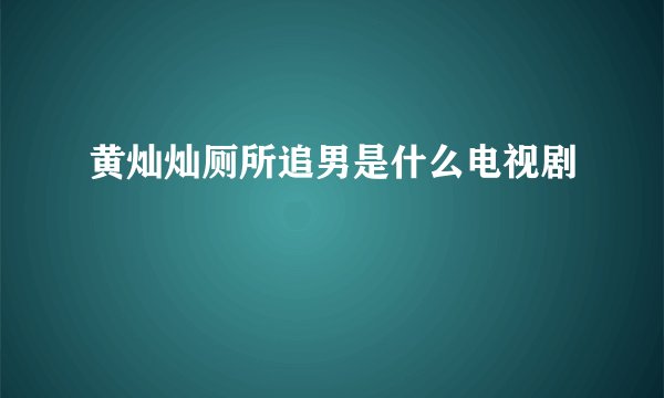 黄灿灿厕所追男是什么电视剧