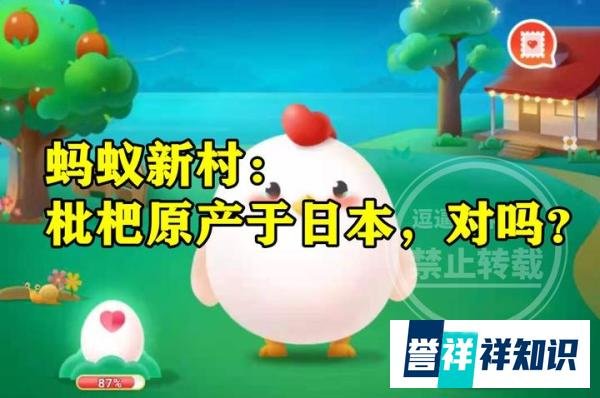 蚂蚁新村枇杷原产于日本答案 枇杷原产于日本对不对？
