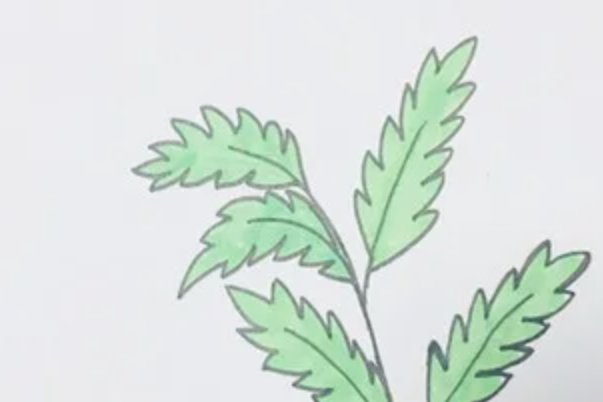 艾叶简笔画