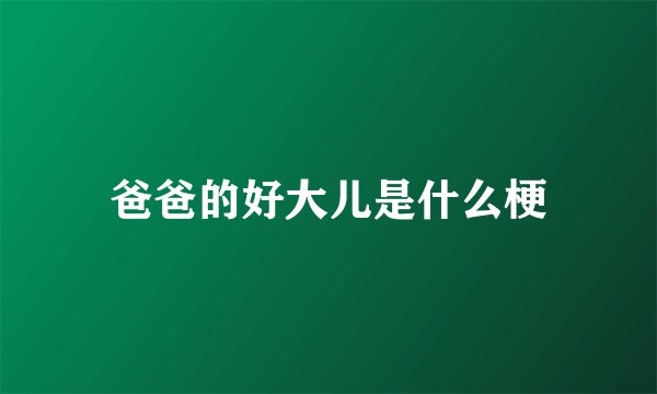爸爸的好大儿是什么梗