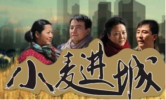 《小麦进城》讲的是什么?