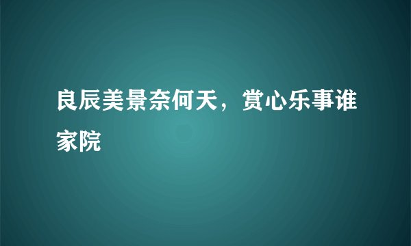 良辰美景奈何天，赏心乐事谁家院