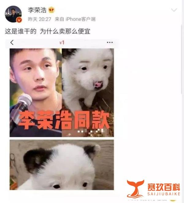 狗狗从1块身价飙到10万,背后的故事...