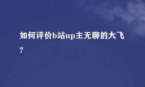 如何评价b站up主无聊的大飞?
