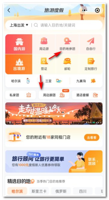 怎么报旅行团