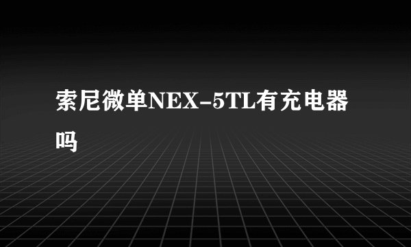 索尼微单NEX-5TL有充电器吗