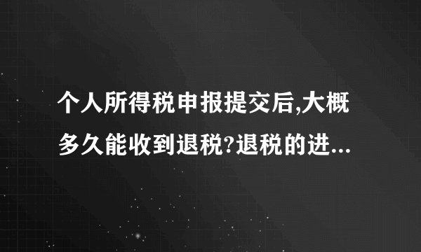 个人所得税申报提交后,大概多久能收到退税?退税的进度在哪里可以查询,如果迟