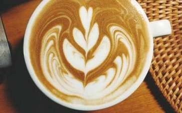 比利时皇家咖啡壶的使用方法与原理