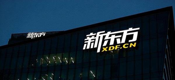 新东方等巨头入场，海外中文或成在线教育新战场？