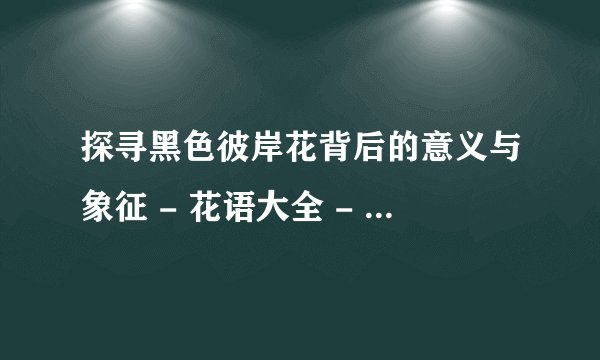 探寻黑色彼岸花背后的意义与象征 - 花语大全 - 盆栽百科网