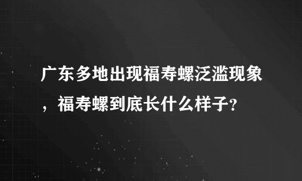 广东多地出现福寿螺泛滥现象，福寿螺到底长什么样子？