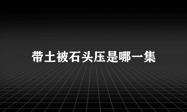 带土被石头压是哪一集