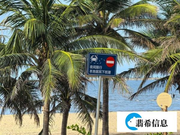 快思慢想
