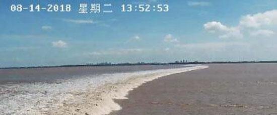 杭州海宁盐官钱塘江大潮（潮水时间+观潮指南）