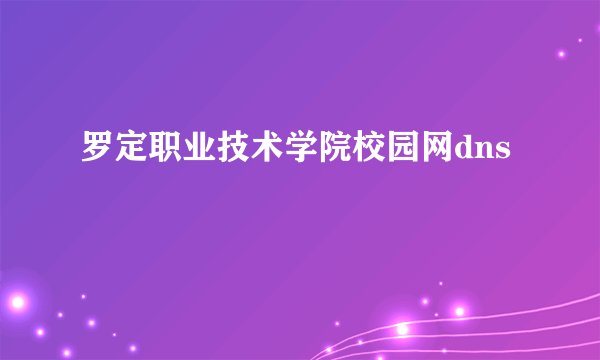 罗定职业技术学院校园网dns