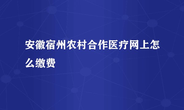 安徽宿州农村合作医疗网上怎么缴费