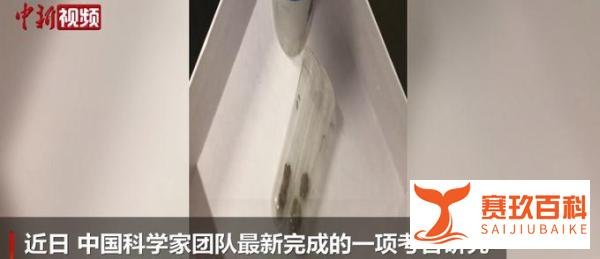 中国春秋时期已有男性美白化妆品 这是咋情况？