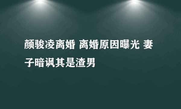 颜骏凌离婚 离婚原因曝光 妻子暗讽其是渣男