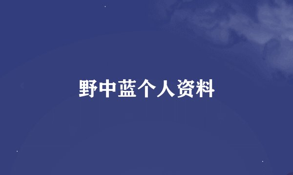 野中蓝个人资料