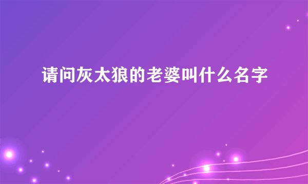 请问灰太狼的老婆叫什么名字