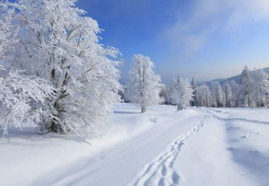 形势确定，河南之雪要连下7天，是否意味着气候有所改变？