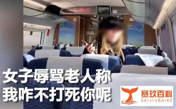 女子高铁训母惹众怒,反怼乘客弃母下车