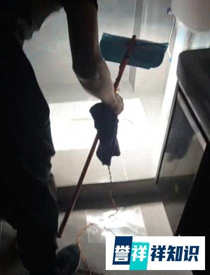 【提灯定损】房东女儿被开除?揭秘事件真相