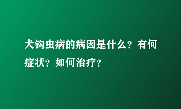犬钩虫病的病因是什么？有何症状？如何治疗？