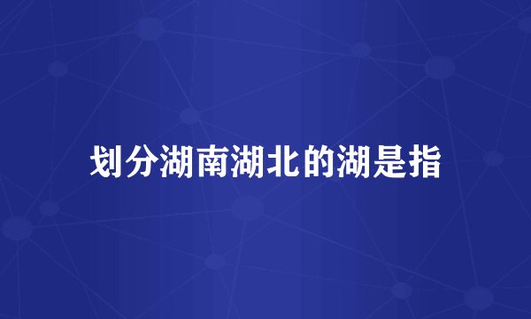 划分湖南湖北的湖是指