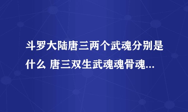 斗罗大陆唐三两个武魂分别是什么 唐三双生武魂魂骨魂环技能介绍