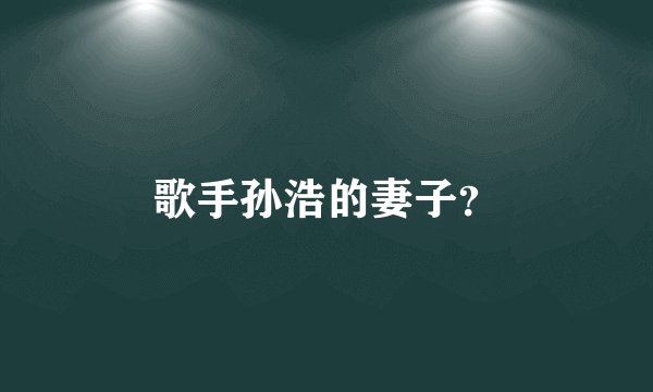 歌手孙浩的妻子？