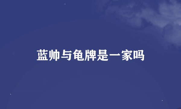 蓝帅与龟牌是一家吗