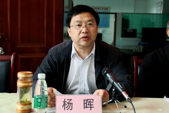 杨晖的介绍