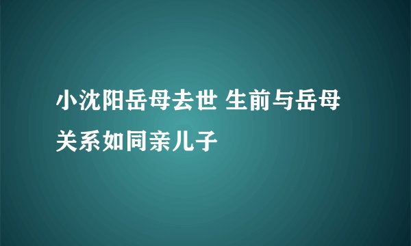 小沈阳岳母去世 生前与岳母关系如同亲儿子