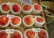日本将用网红宣传福岛食品,为何会出现这么离谱的事情?