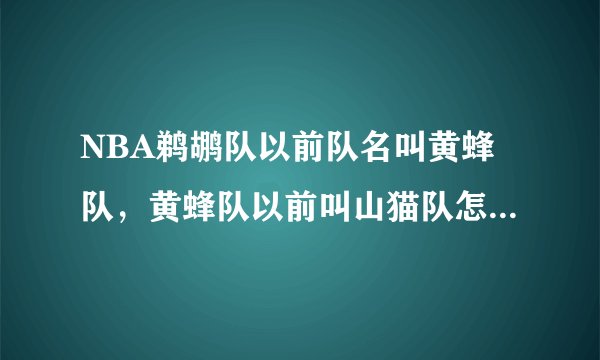 NBA鹈鹕队以前队名叫黄蜂队，黄蜂队以前叫山猫队怎么回事?