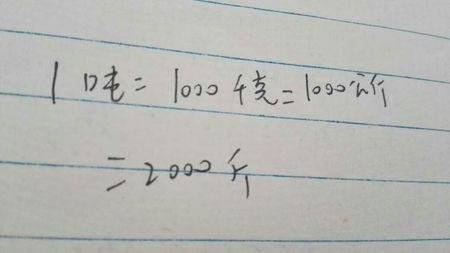1吨等于多少公斤？