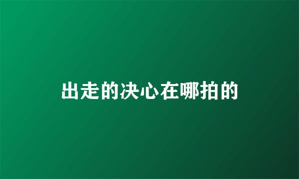 出走的决心在哪拍的