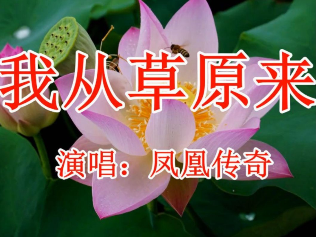 我从草原来歌词