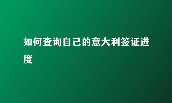 如何查询自己的意大利签证进度