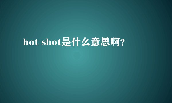 hot shot是什么意思啊？