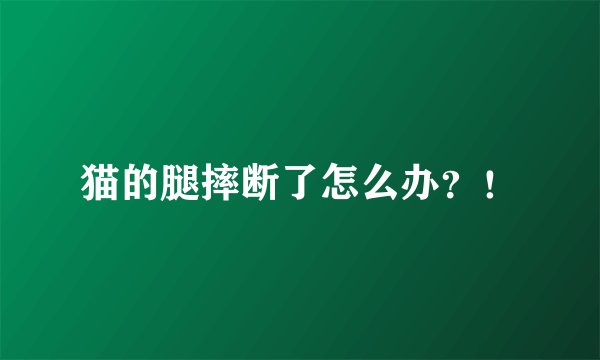 猫的腿摔断了怎么办？！