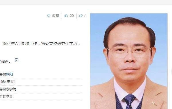 何友旺严重违纪违法被查，一个昔日的大能人就这样倒下了