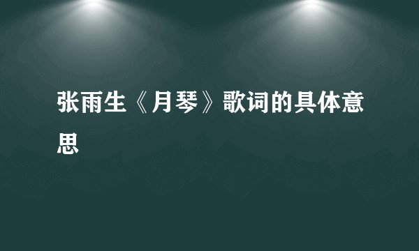 张雨生《月琴》歌词的具体意思