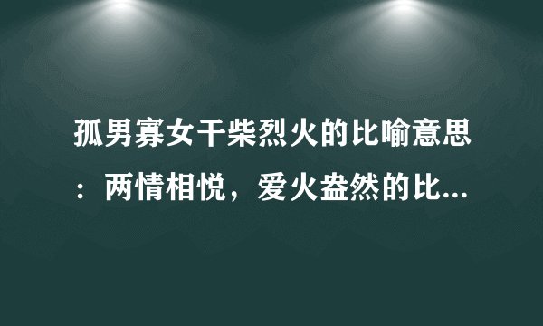 孤男寡女干柴烈火的比喻意思：两情相悦，爱火盎然的比喻意思！