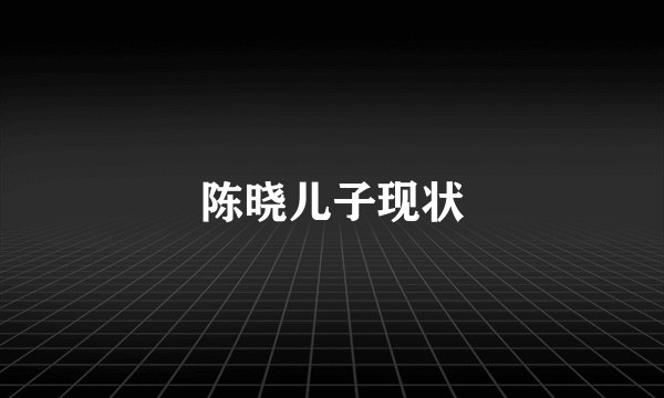 陈晓儿子现状