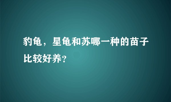 豹龟，星龟和苏哪一种的苗子比较好养？