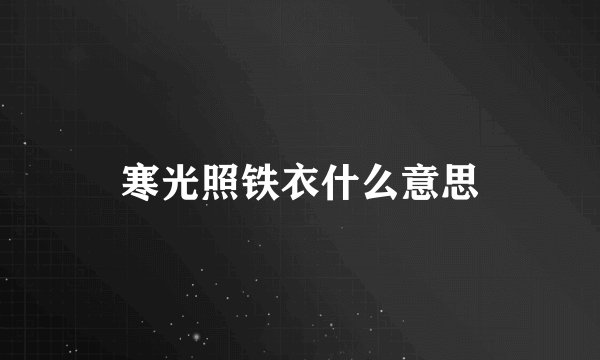 寒光照铁衣什么意思