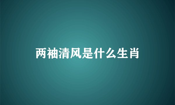两袖清风是什么生肖